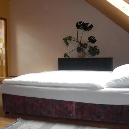 Pension Lazany Penzion Lažany